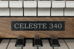 celeste_340_-_cbm161_-_detail_1